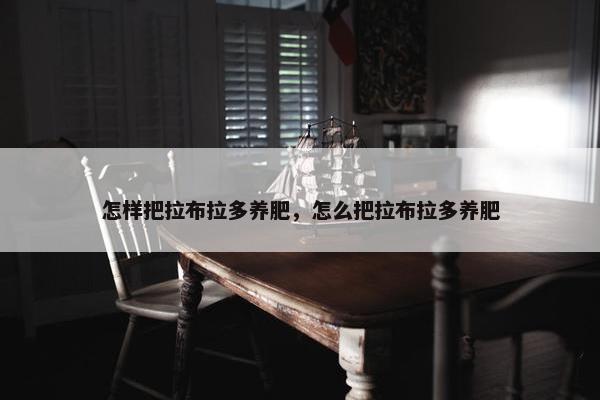 怎样把拉布拉多养肥，怎么把拉布拉多养肥