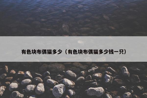 有色块布偶猫多少（有色块布偶猫多少钱一只）