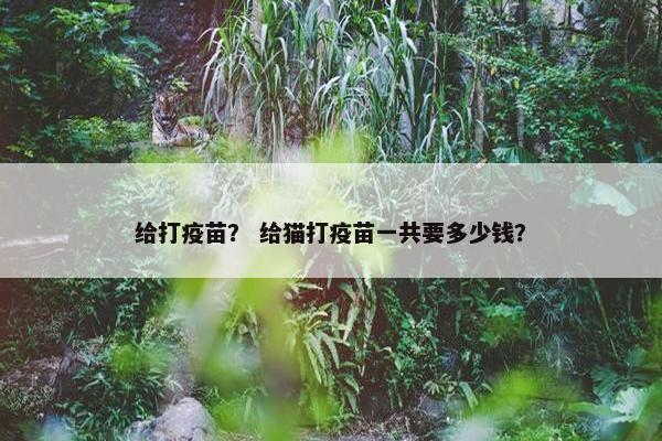 给打疫苗？ 给猫打疫苗一共要多少钱？