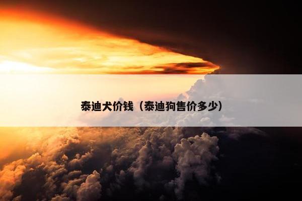 泰迪犬价钱（泰迪狗售价多少）