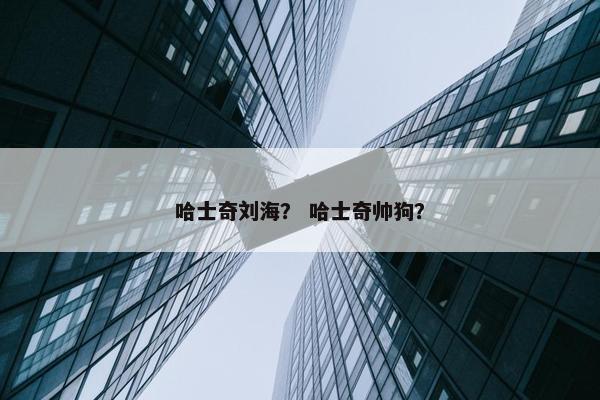 哈士奇刘海？ 哈士奇帅狗？