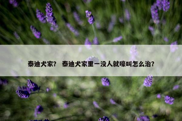 泰迪犬家？ 泰迪犬家里一没人就嚎叫怎么治？