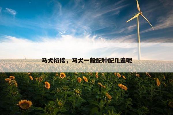 马犬衔接，马犬一般配种配几遍呢