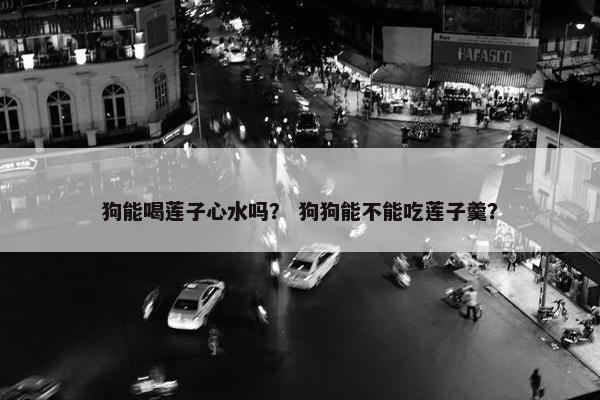 狗能喝莲子心水吗？ 狗狗能不能吃莲子羹？