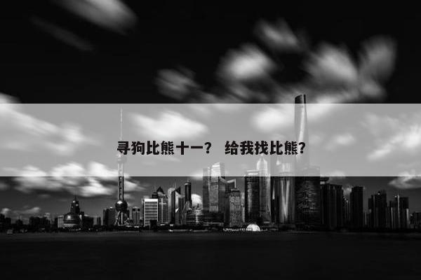 寻狗比熊十一？ 给我找比熊？