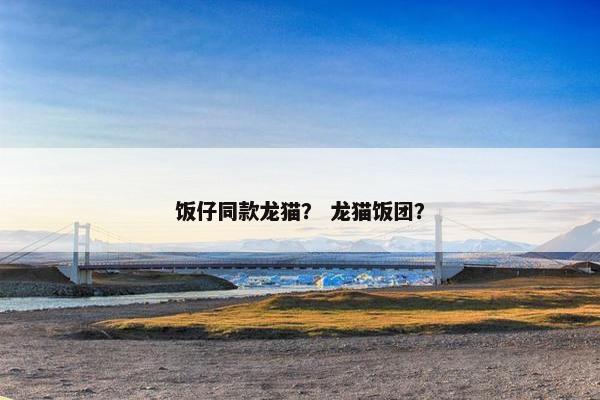 饭仔同款龙猫？ 龙猫饭团？