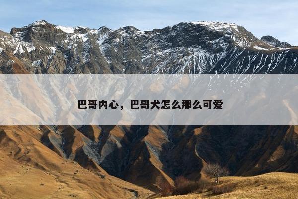 巴哥内心，巴哥犬怎么那么可爱