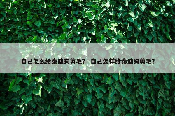 自己怎么给泰迪狗剪毛？ 自己怎样给泰迪狗剪毛？