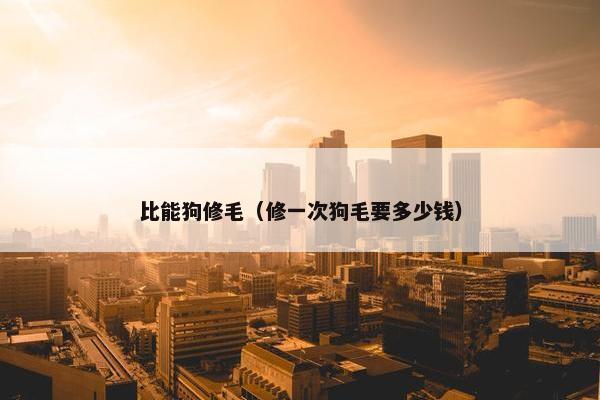 比能狗修毛（修一次狗毛要多少钱）
