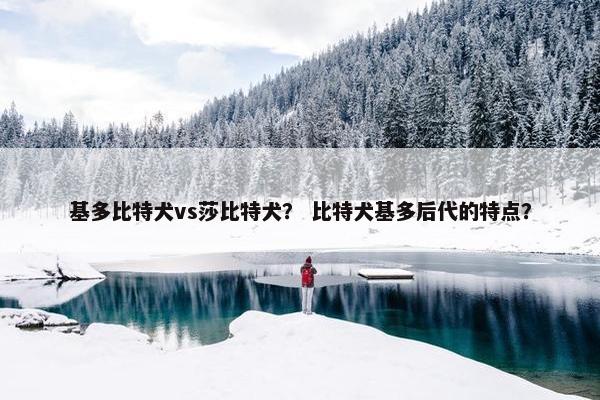 基多比特犬vs莎比特犬？ 比特犬基多后代的特点？
