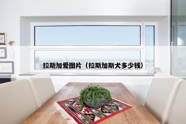 拉斯加爱图片（拉斯加斯犬多少钱）