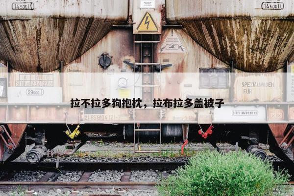 拉不拉多狗抱枕，拉布拉多盖被子