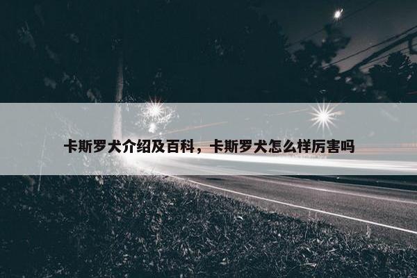 卡斯罗犬介绍及百科，卡斯罗犬怎么样厉害吗