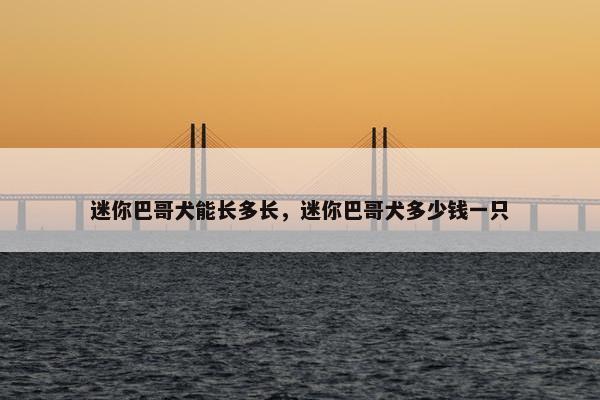 迷你巴哥犬能长多长，迷你巴哥犬多少钱一只