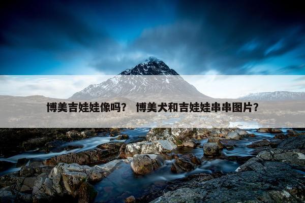 博美吉娃娃像吗？ 博美犬和吉娃娃串串图片？