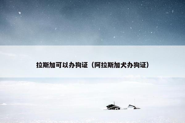 拉斯加可以办狗证（阿拉斯加犬办狗证）