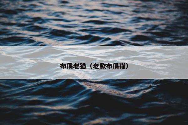 布偶老猫（老款布偶猫）