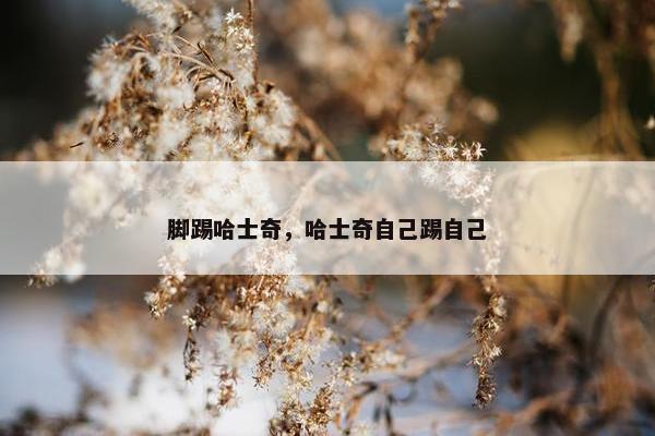 脚踢哈士奇，哈士奇自己踢自己