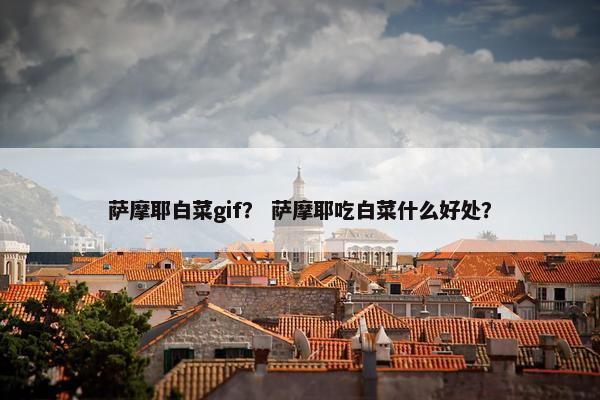 萨摩耶白菜gif？ 萨摩耶吃白菜什么好处？