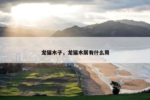 龙猫木子，龙猫木屑有什么用