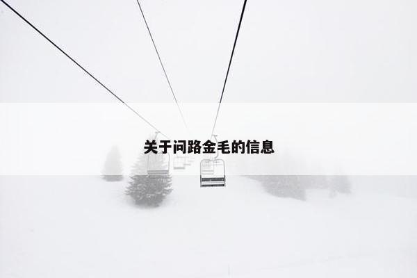 关于问路金毛的信息