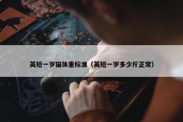 英短一岁猫体重标准（英短一岁多少斤正常）
