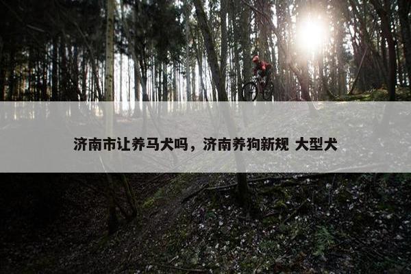 济南市让养马犬吗，济南养狗新规 大型犬