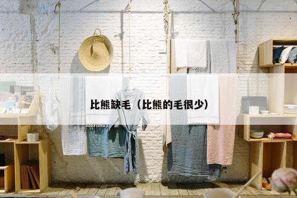 比熊缺毛（比熊的毛很少）