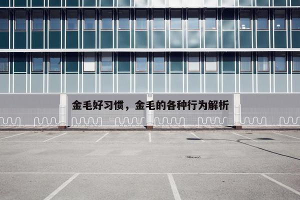 金毛好习惯，金毛的各种行为解析