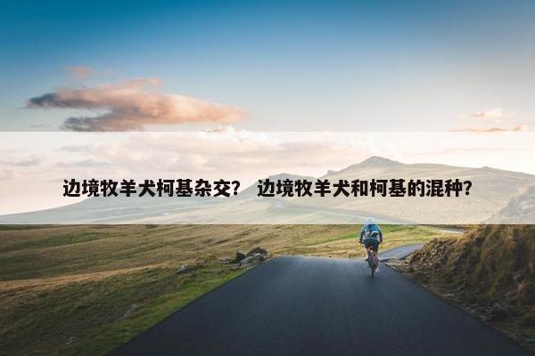 边境牧羊犬柯基杂交？ 边境牧羊犬和柯基的混种？