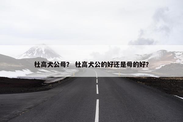 杜高犬公母？ 杜高犬公的好还是母的好？