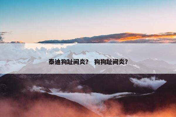 泰迪狗趾间炎？ 狗狗趾间炎？