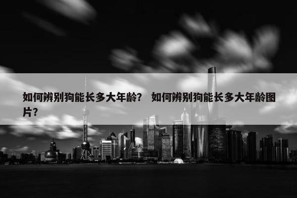 如何辨别狗能长多大年龄？ 如何辨别狗能长多大年龄图片？
