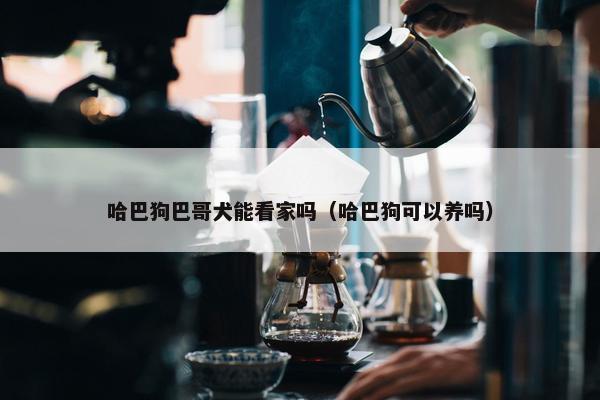 哈巴狗巴哥犬能看家吗（哈巴狗可以养吗）