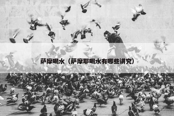 萨摩喝水（萨摩耶喝水有哪些讲究）