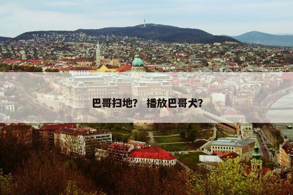 巴哥扫地？ 播放巴哥犬？
