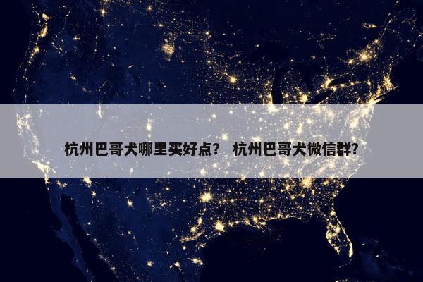 杭州巴哥犬哪里买好点？ 杭州巴哥犬微信群？