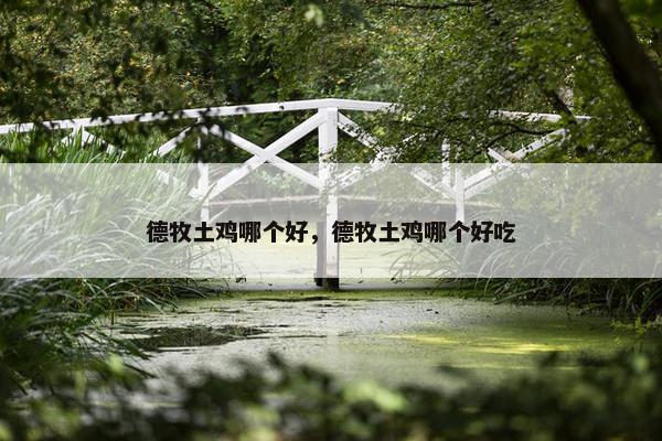 德牧土鸡哪个好，德牧土鸡哪个好吃