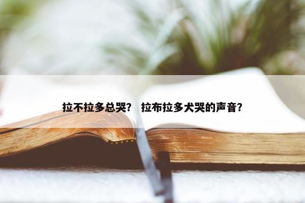 拉不拉多总哭？ 拉布拉多犬哭的声音？