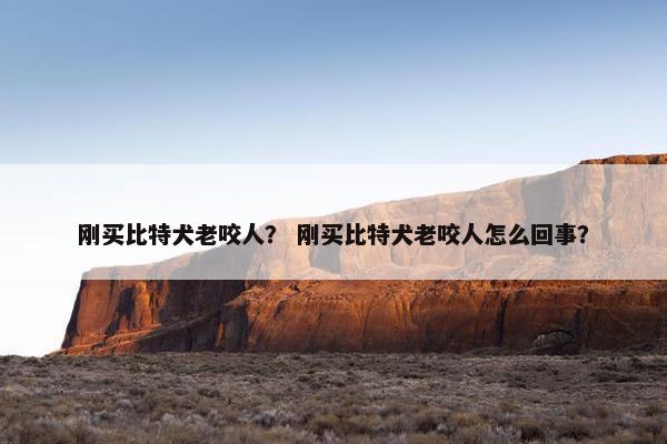 刚买比特犬老咬人？ 刚买比特犬老咬人怎么回事？