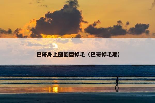 巴哥身上圆圈型掉毛（巴哥掉毛期）
