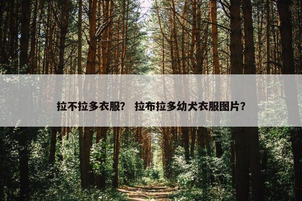 拉不拉多衣服？ 拉布拉多幼犬衣服图片？