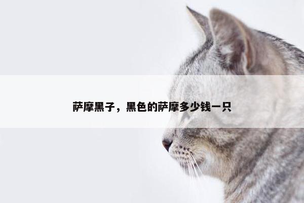 萨摩黑子，黑色的萨摩多少钱一只