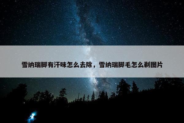 雪纳瑞脚有汗味怎么去除，雪纳瑞脚毛怎么剃图片