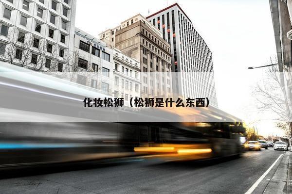 化妆松狮（松狮是什么东西）