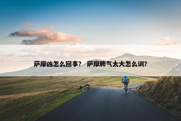 萨摩凶怎么回事？ 萨摩脾气太大怎么训？