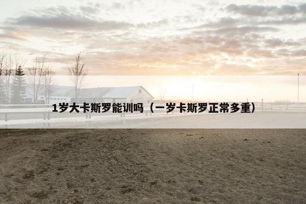 1岁大卡斯罗能训吗（一岁卡斯罗正常多重）