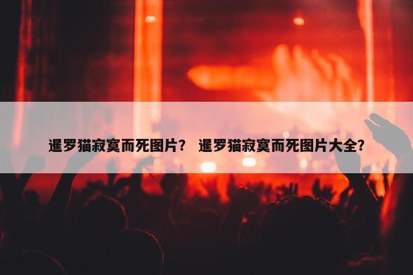 暹罗猫寂寞而死图片？ 暹罗猫寂寞而死图片大全？
