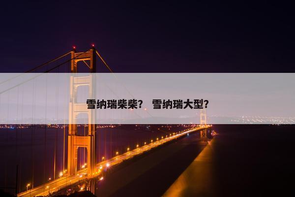 雪纳瑞柴柴？ 雪纳瑞大型？