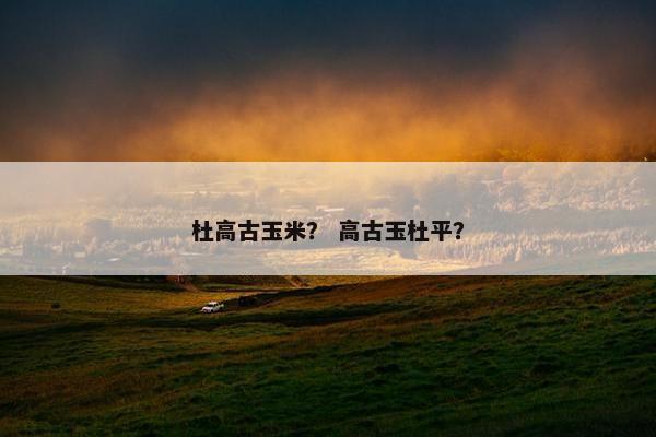 杜高古玉米？ 高古玉杜平？